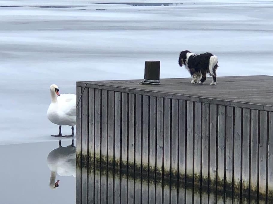 Sjoestuga/Gaesthus I Skaergarden. Åkersberga Kültér fotó