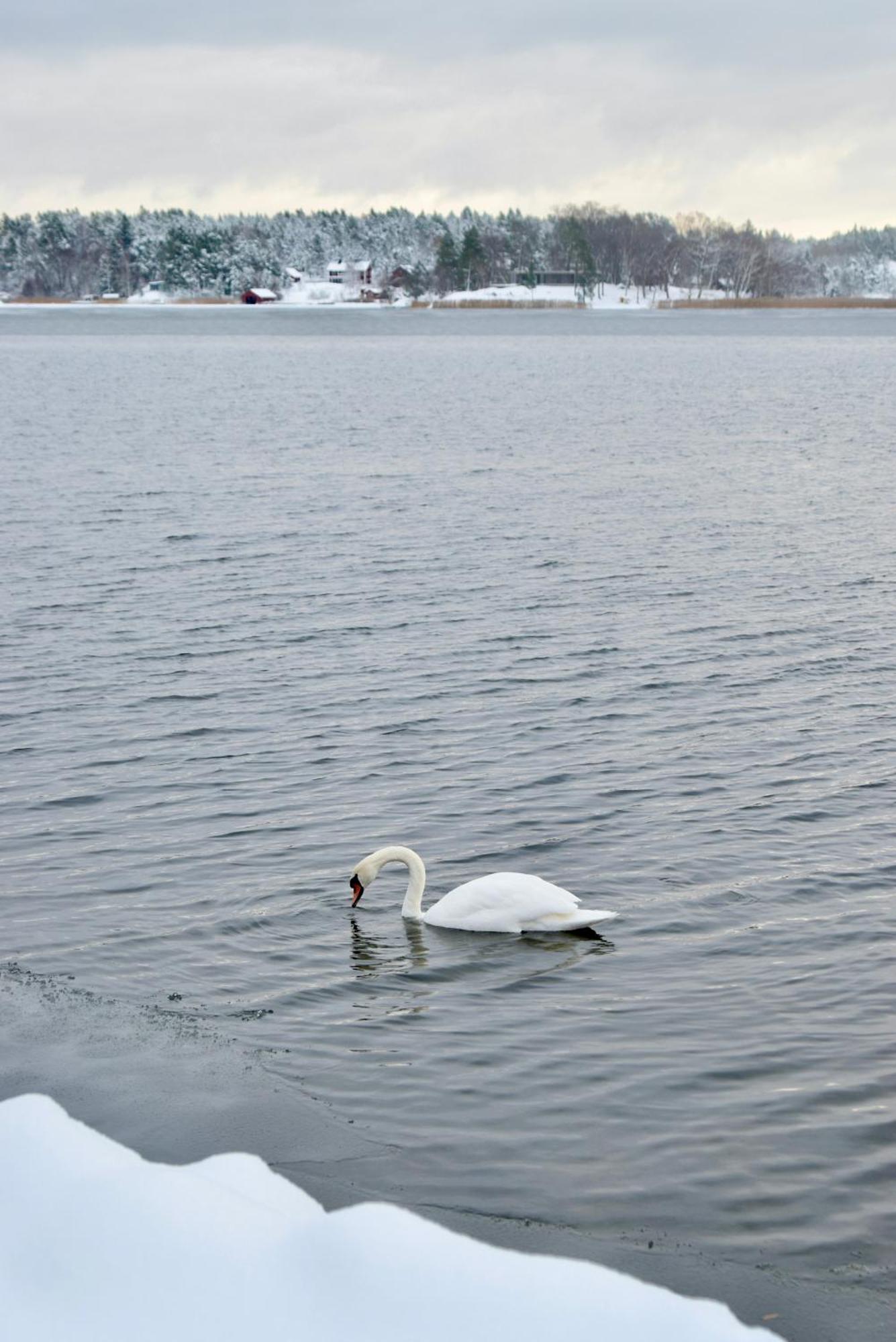 Sjoestuga/Gaesthus I Skaergarden. Åkersberga Kültér fotó